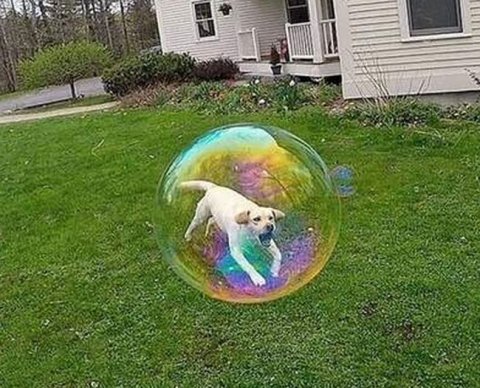 Планируется обновить форму декларации по налогу на прибыль