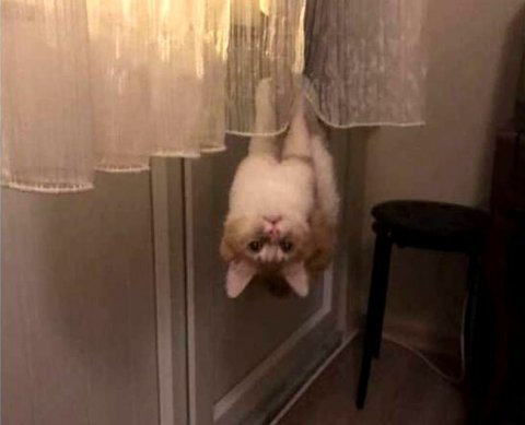 На ближайшие годы изменен порядок учета курсовых разниц. Но порядок их расчета остался