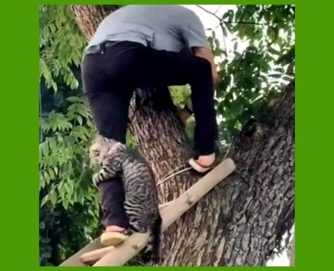 Установлены тарифы на "несчастное" соцстрахование на следующие годы