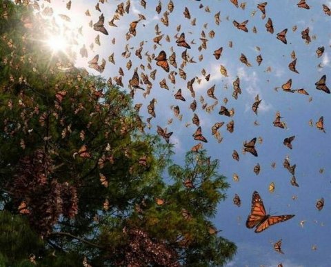 90 тысяч юрлиц с недостоверными сведениями исключены из ЕГРЮЛ с начала года