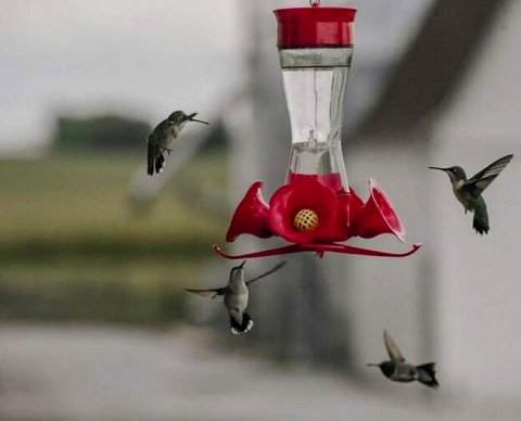 Продление региональных налоговых льгот по налогу на прибыль принято в 1 чтении