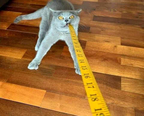 ФСС обновил электронный формат и контрольные соотношения к форме 4-ФСС