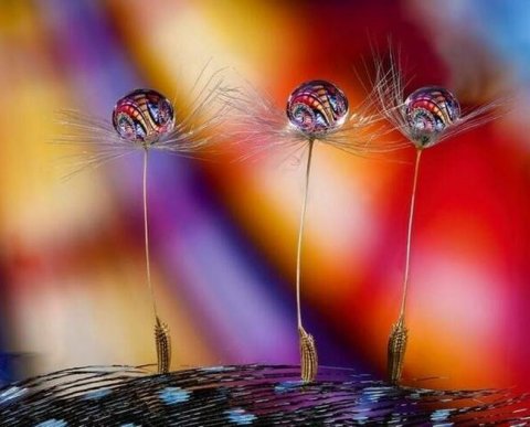 Как предстоит отчитываться в фонд и в налоговую после объединения ПФ и ФСС