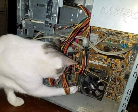 Налоговые льготы в сфере IT - новая версия: кто-то найдет, а кто-то потеряет