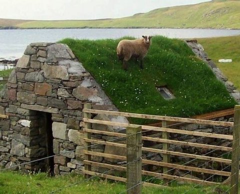 Наиболее важные новости недели 18 - 22 июля 2022 года