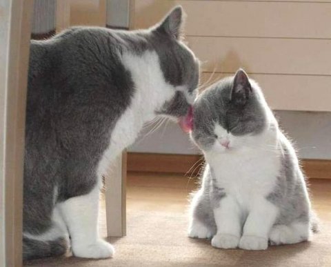 На аудиторов распространены антиотмывочные требования к идентификации клиентов