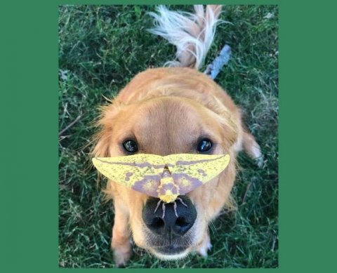 ЦБ готовит новые правила отбора аудиторских организаций для надзорных проверок