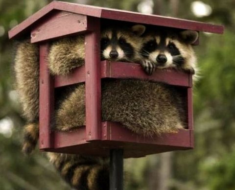 Наиболее важные новости недели 27 июня - 1 июля 2022 года