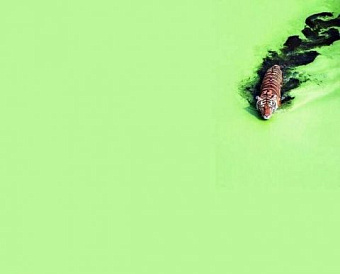 По какой схеме будут проверять фирмы, проводящие аудит ОЗО - вышел чек-лист