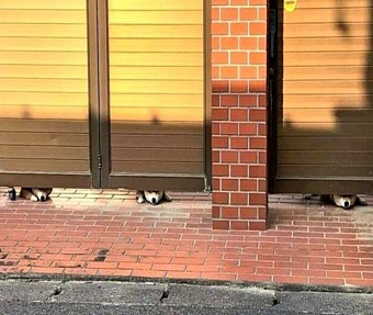 Предложено освободить от отчетности по МСФО одиночные банки и НФО