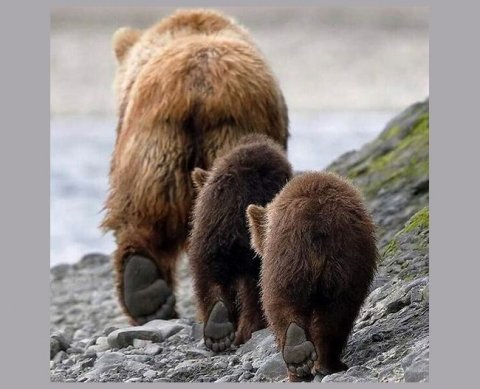 Несдача отчетов по "прослежке" не штрафуется как непредставление документов по НК