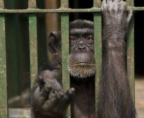 За фальшивую налоговую отчетность предлагается сажать - законопроект внесен в Госдуму