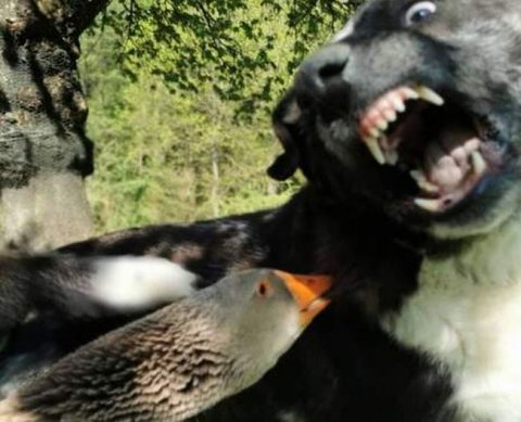 Наиболее важные новости недели 20 - 24 декабря 2021 года