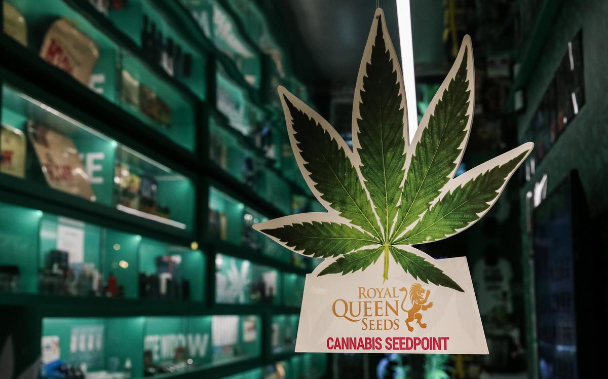 Mastercard запретит транзакции с марихуаной по своим дебетовым картам