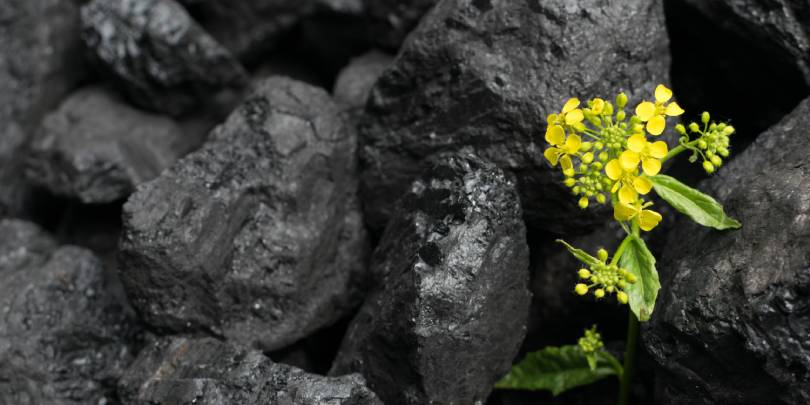 Китайский страховщик AIA продал активы в угольной отрасли на $10 млрд