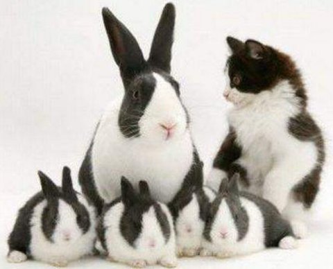 Появится новый повод для продления проверки по сделкам между взаимозависимыми лицами