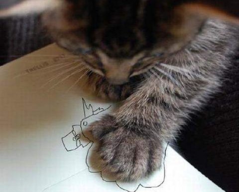 ФНС проведет эксперимент по бесплатному предоставлению средств электронной подписи