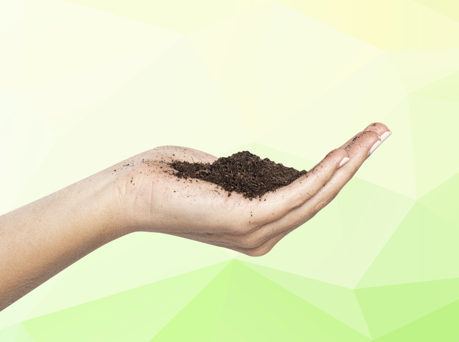 Аграрии в 2022 году продолжат получать льготные кредиты