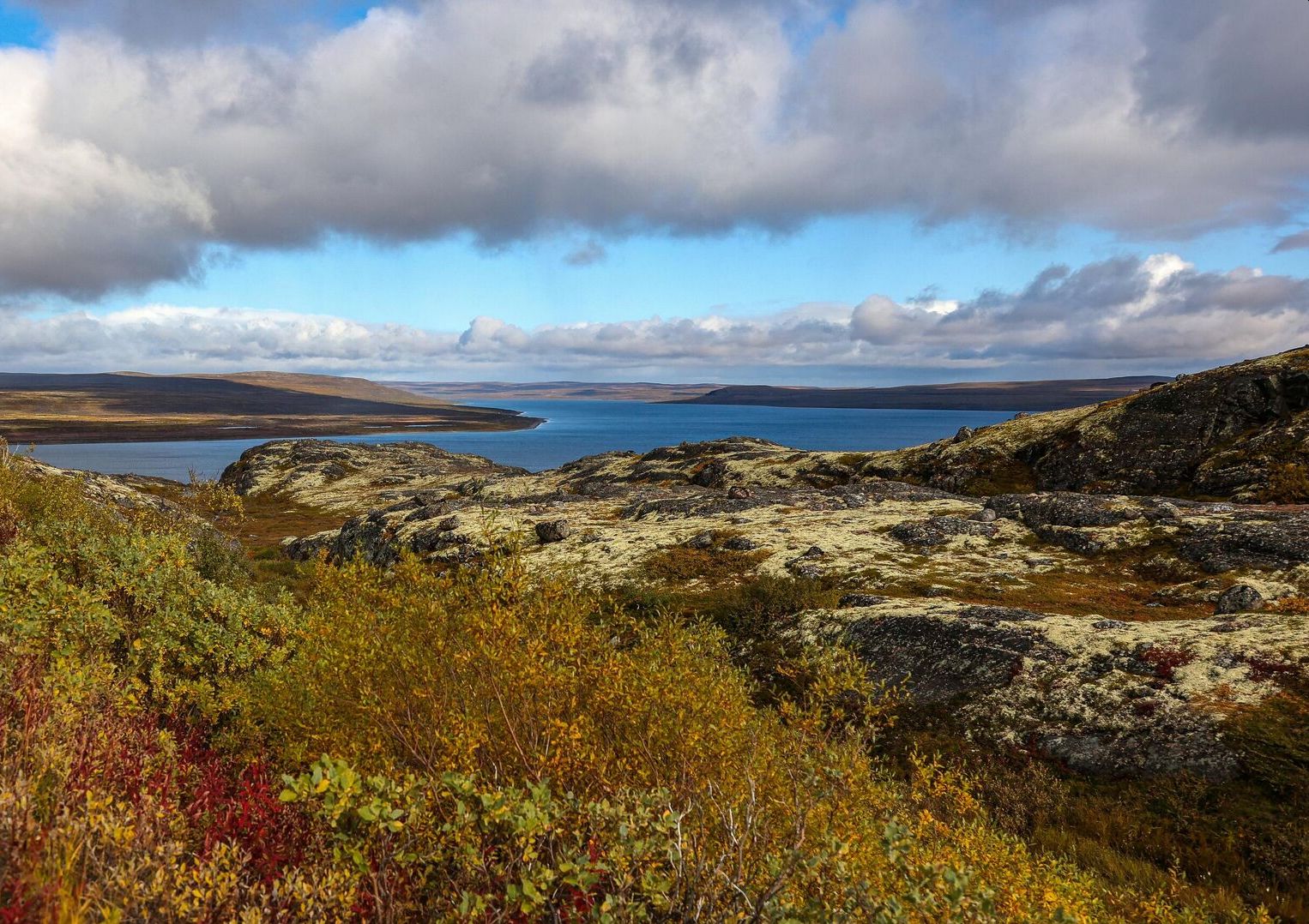 Мурманская область лидирует по выдаче «арктических гектаров»