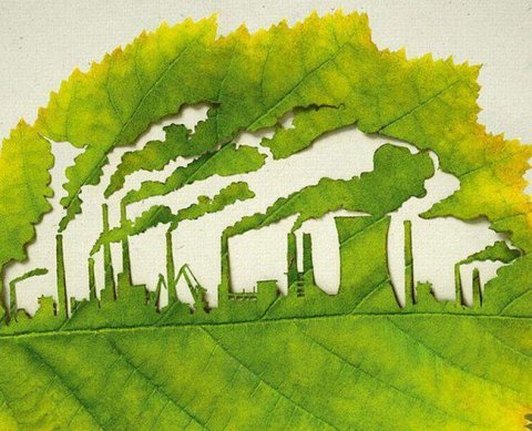 В счете-фактуре пустые графы могут совсем отсутствовать, указал Минфин