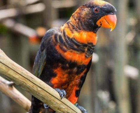 Как теперь облагаются НДФЛ доходы ИП на общем режиме, разъяснил Минфин