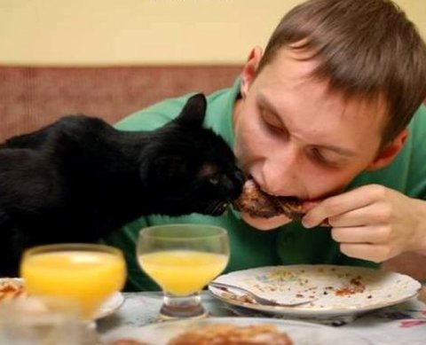 Еще один эксперимент по маркировке охватит безалкогольные напитки