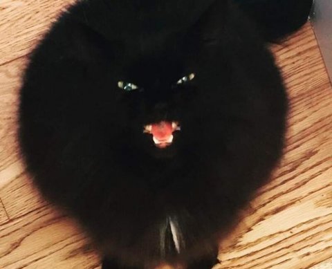 ФНС сообщила код для быстрого возмещения НДС без обеспечения