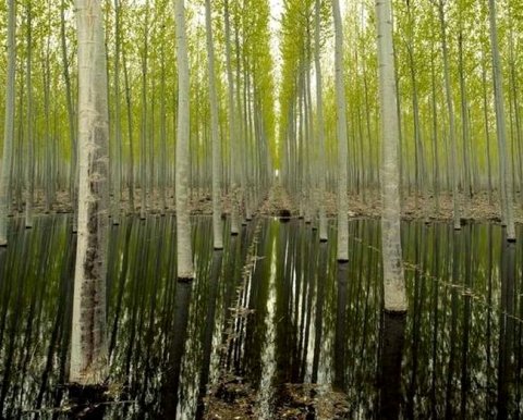 Наиболее важные новости недели 23-27 мая 2022 года