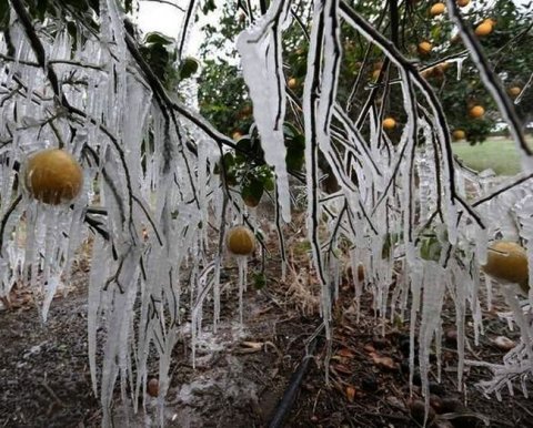 Налоговики прошлёпали платежку и заморозили счета фирмы - но наказать рублём не вышло