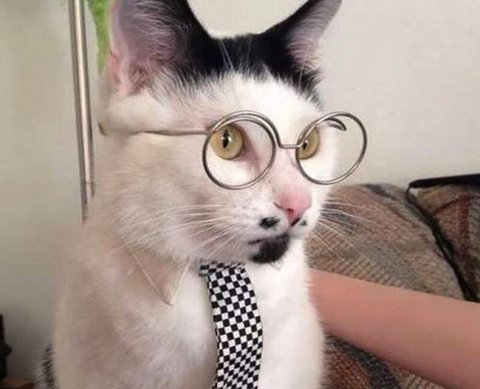 16 ноября, вторник, будет днем, насыщенным аудиторскими мероприятиями