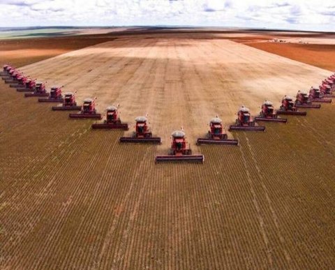 Действие "старых" региональных льготных ставок по налогу на прибыль продлят