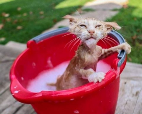 РФМ включил аудиторов в особенности передачи антиотмывочной информации