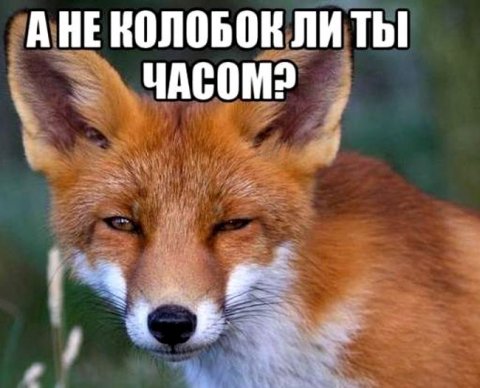 Аудиторские ОЗО-фирмы будут ежегодно брать в ОВД справки на каждого аудитора