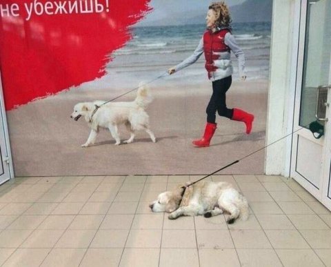 Некоторым пользователям ККТ дана еще одна отсрочка по переходу на ФФД 1.2