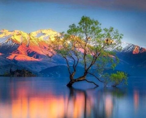 Сегодня вечером состится вебинар для аудиторов о влиянии климатических изменений