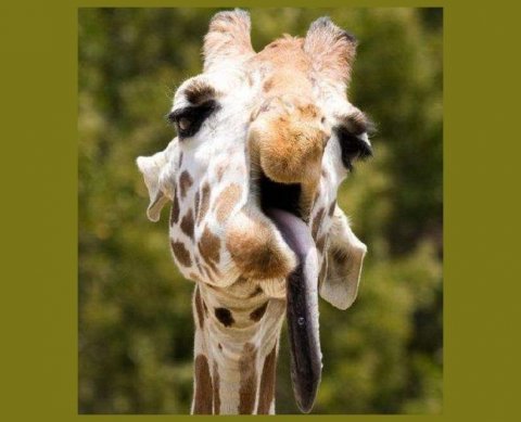 Наиболее важные новости недели 5-9 июля 2021 года