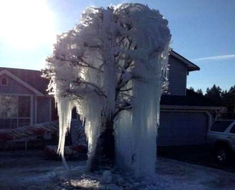 ФНС продлевает запрет на блокировку счетов, необходимую для списания недоимок