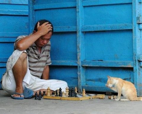 Страховыми взносами могут обложить компенсационные и социальные выплаты работникам