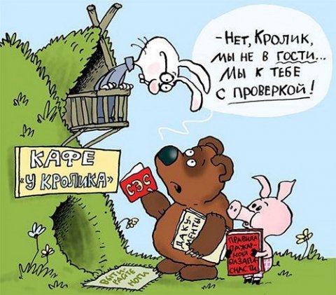 Налоговики стали чаще запрашивать документы у бизнеса вне проверок