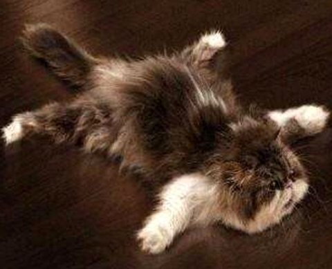 Росстат переносит сроки сдачи 16 форм отчетности на 9 ноября 2021 года