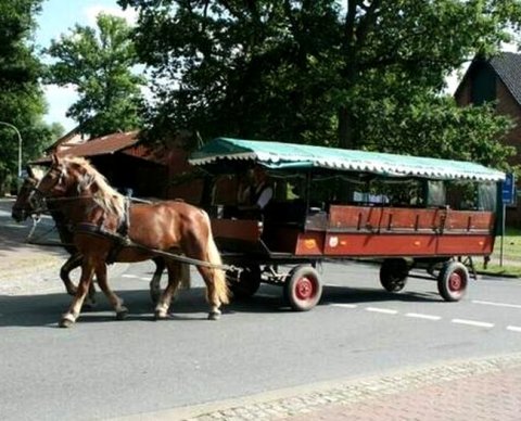 В 2021 году количество самозанятых выросло более чем в два раза, сообщила ФНС
