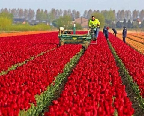 Можно ли заменить штраф предупреждением, если ранее имело место нарушение других норм