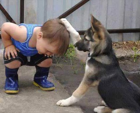 Долг фирмы по суду перешел на ее учредителя: как быть с налогом на прибыль