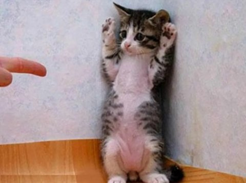 Наследников "большой четверки" аудиторов в РФ проверят на независимость