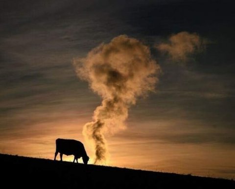 ФСБУ "Нематериальные активы" утвержден приказом Минфина