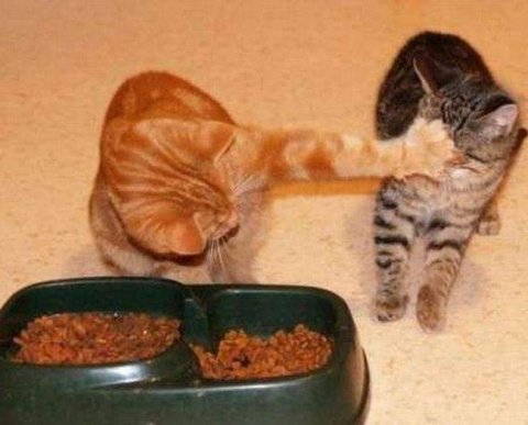 Подготовлен проект постановления об ограничении доступа к бухотчетности с 2023 года