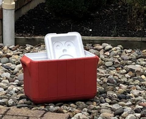 С 1 января 2022 года скорректируются планы счетов бухучета для банков и НФО