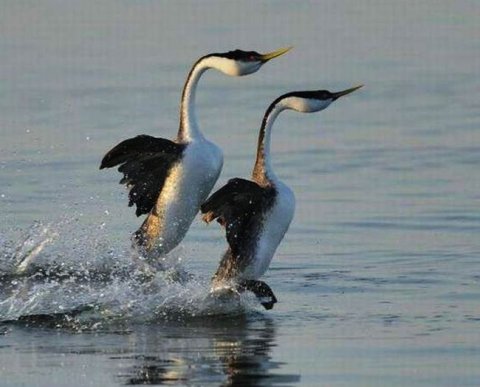 Упрощение подтверждения нулевой ставки НДС для экспортеров внесено в Госдуму