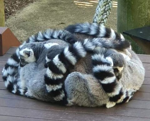 Некоторые непубличные АО обойдутся без обязательного аудита - прошло 2 чтение