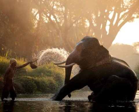 Нерезидент зарегистрирован в РФ как самозанятый: каковы обязанности приобретателя услуг